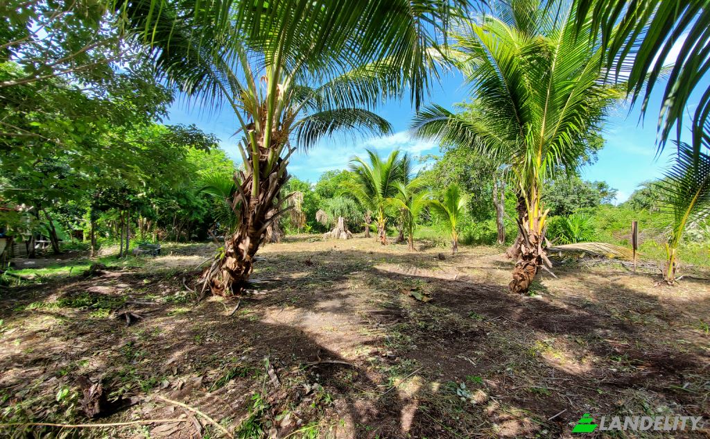 Land Lot for Sale Corozal, Corozal District, Belize. Photo 5