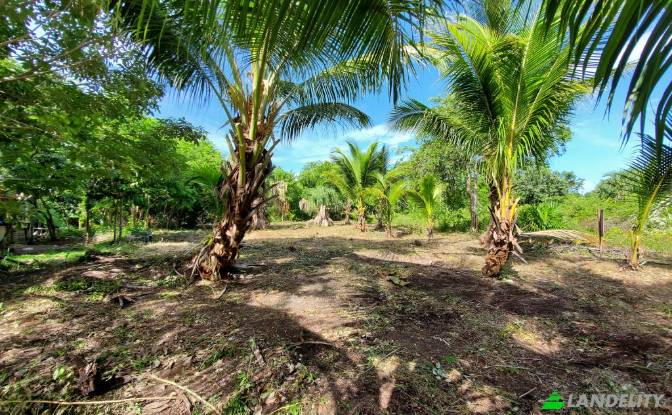 Land Lot for Sale Corozal, Corozal District. Photo#5