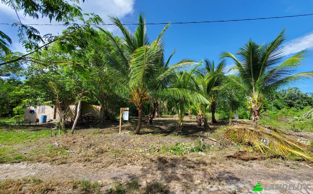 Land Lot for Sale Corozal, Corozal District, Belize. Photo 6