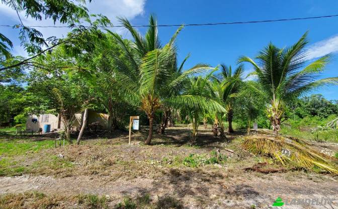 Land Lot for Sale Corozal, Corozal District. Photo#6