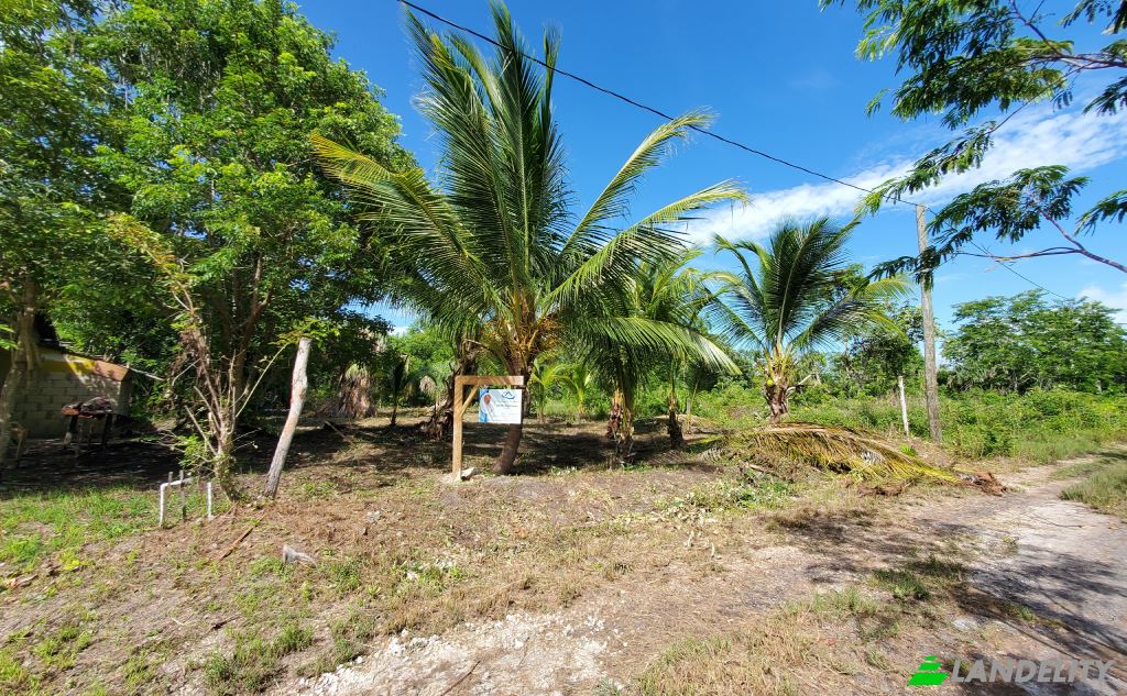 Land Lot for Sale Corozal, Corozal District, Belize. Photo 7