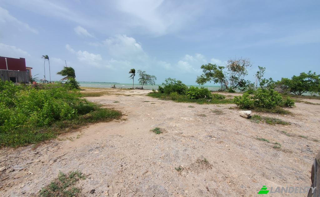 Land Lot for Sale Bayview Drive Consejo, Consejo, Corozal District, Belize. Photo 4