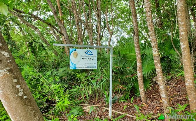 Land Lot for Sale - Consejo, Belize