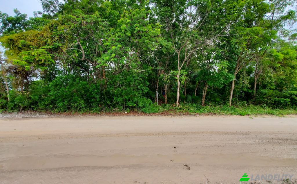 Land Lot for Sale Consejo Village Rd, Consejo, Corozal District, Belize. Photo 2