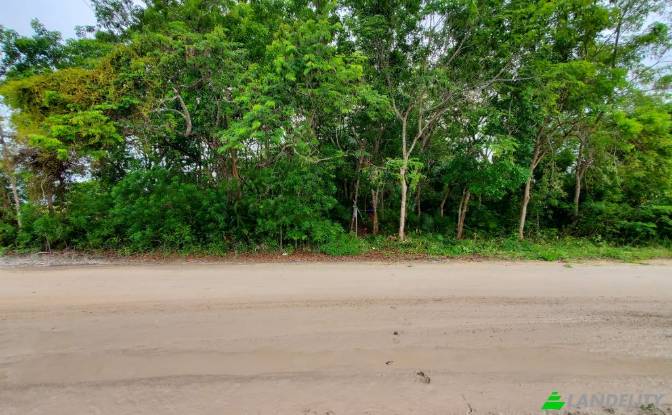 Land Lot for Sale Consejo Village Rd, Consejo. Photo#2
