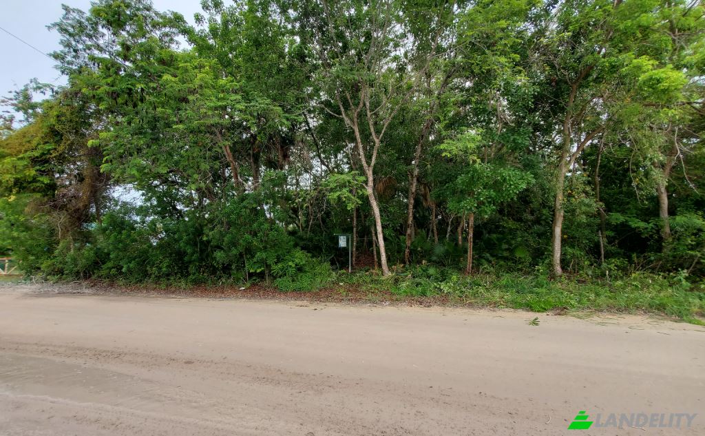 Land Lot for Sale Consejo Village Rd, Consejo, Corozal District, Belize. Photo 3