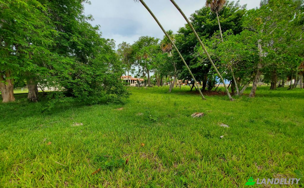 Działka na sprzedaż Consejo, Corozal District, Belize. Zdjęcie 3