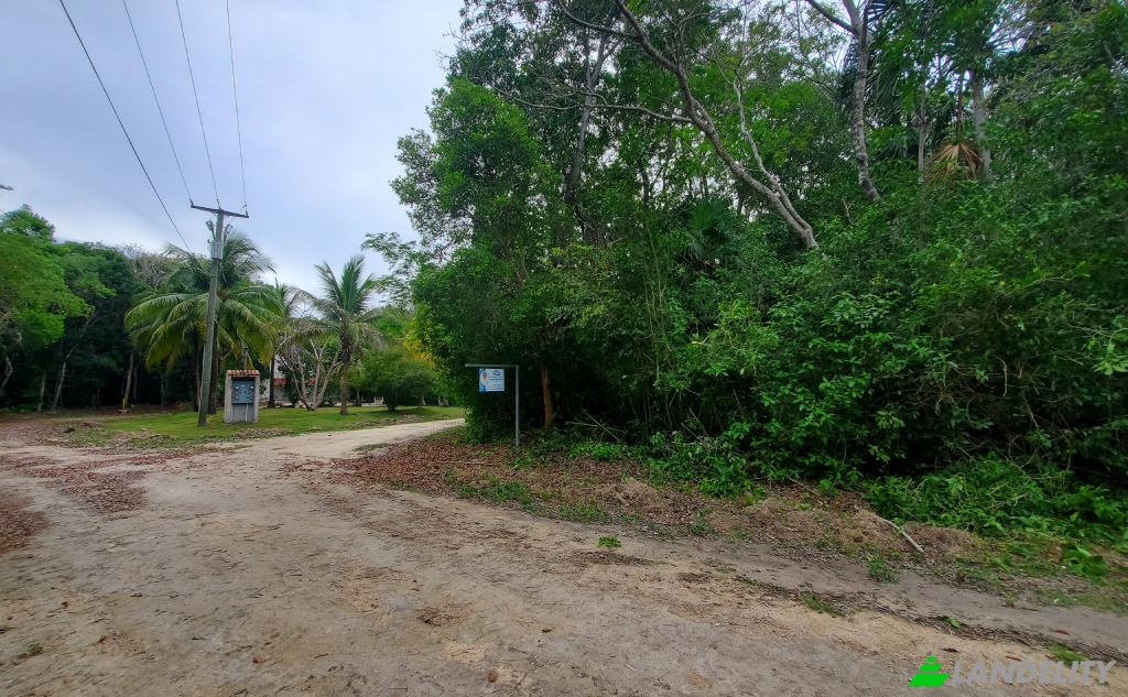 Land Lot for Sale Liana Glade, Consejo, Corozal District, Belize. Photo 6