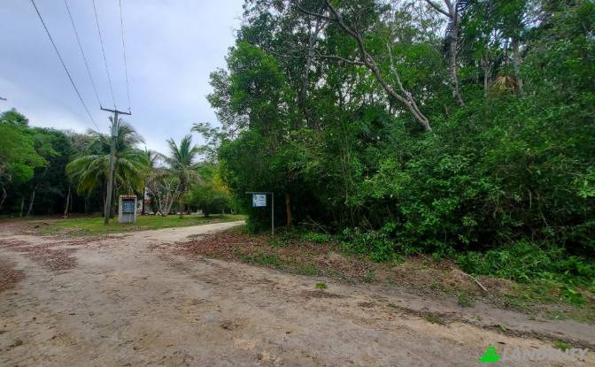 Land Lot for Sale Liana Glade, Consejo. Photo#6 Land Lot for Sale Liana Glade, Consejo. Photo#6