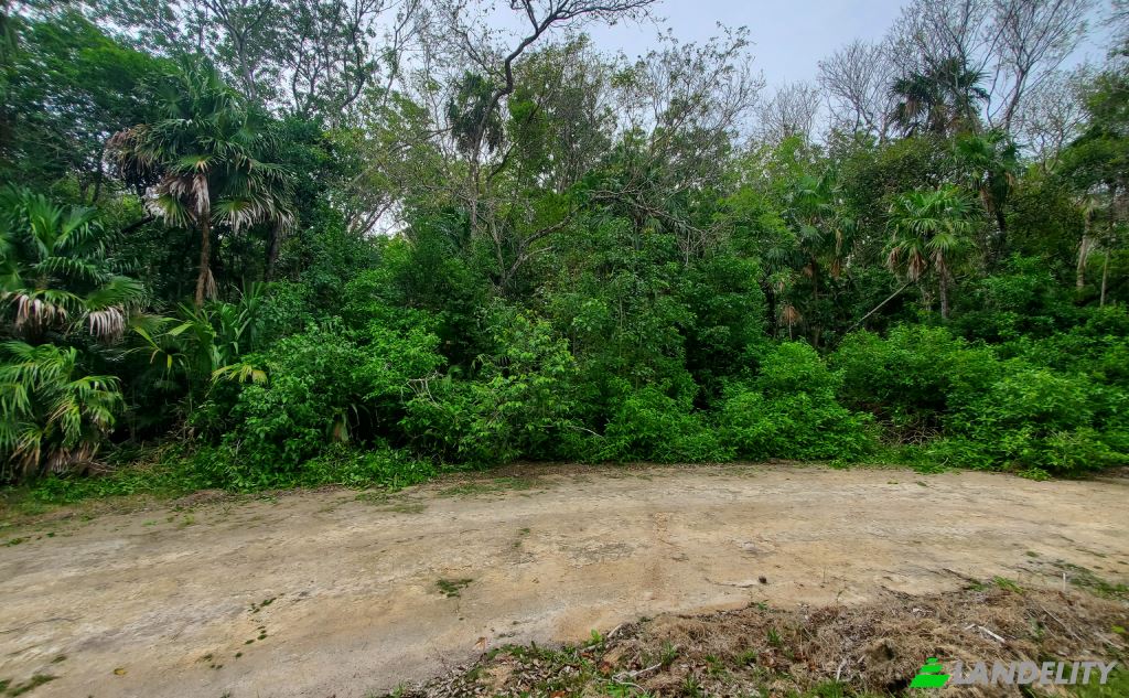 Land Lot for Sale Liana Glade, Consejo, Corozal District, Belize. Photo 1