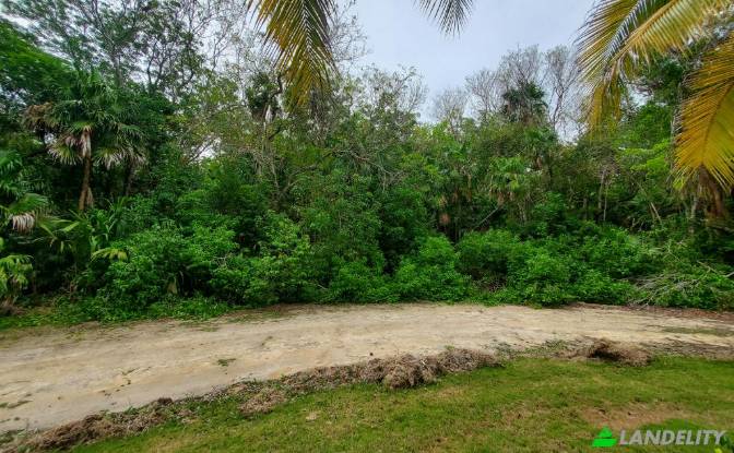 Land Lot for Sale Liana Glade, Consejo. Photo#2 Land Lot for Sale Liana Glade, Consejo. Photo#2