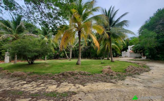 Land Lot for Sale Liana Glade, Consejo. Photo#3 Land Lot for Sale Liana Glade, Consejo. Photo#3