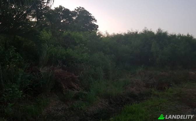 Land Lot for Sale Cor James, Roberts St. Photo#2