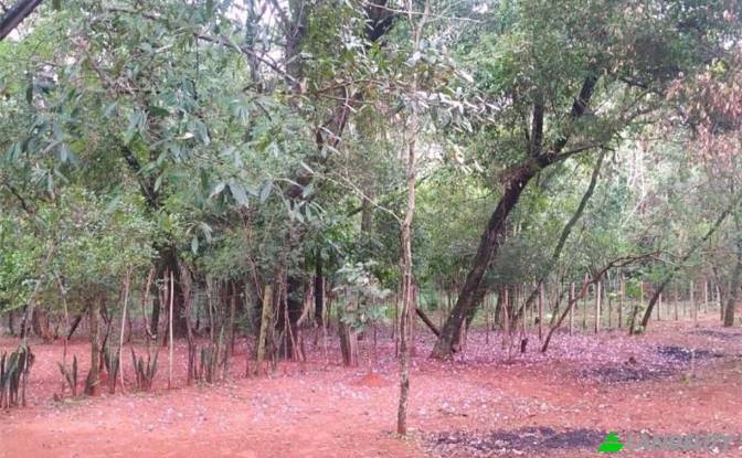 Land Lot for Sale - Aregua, Paraguay