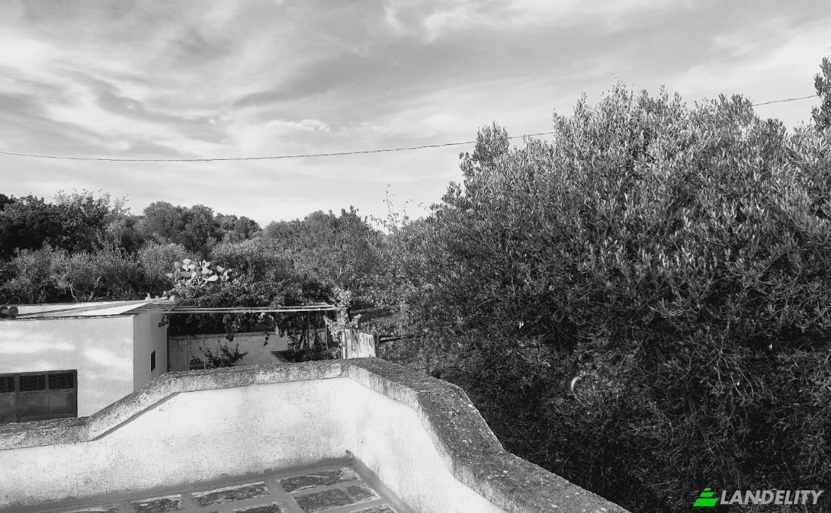 Villa for Sale 72017 Ostuni, Ostuni, Province of Brindisi, Apulia, Italy. Photo 6