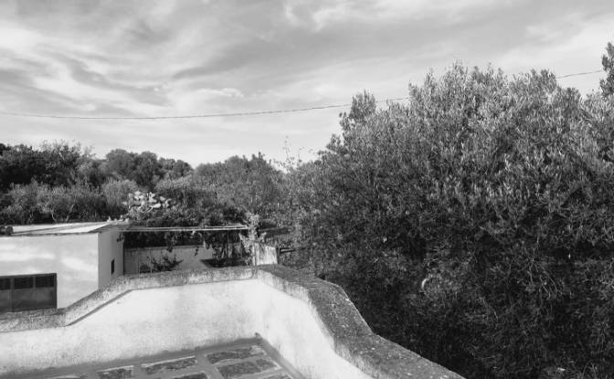 Villa for Sale 72017 Ostuni, Ostuni. Photo#6 Villa for Sale 72017 Ostuni, Ostuni. Photo#6