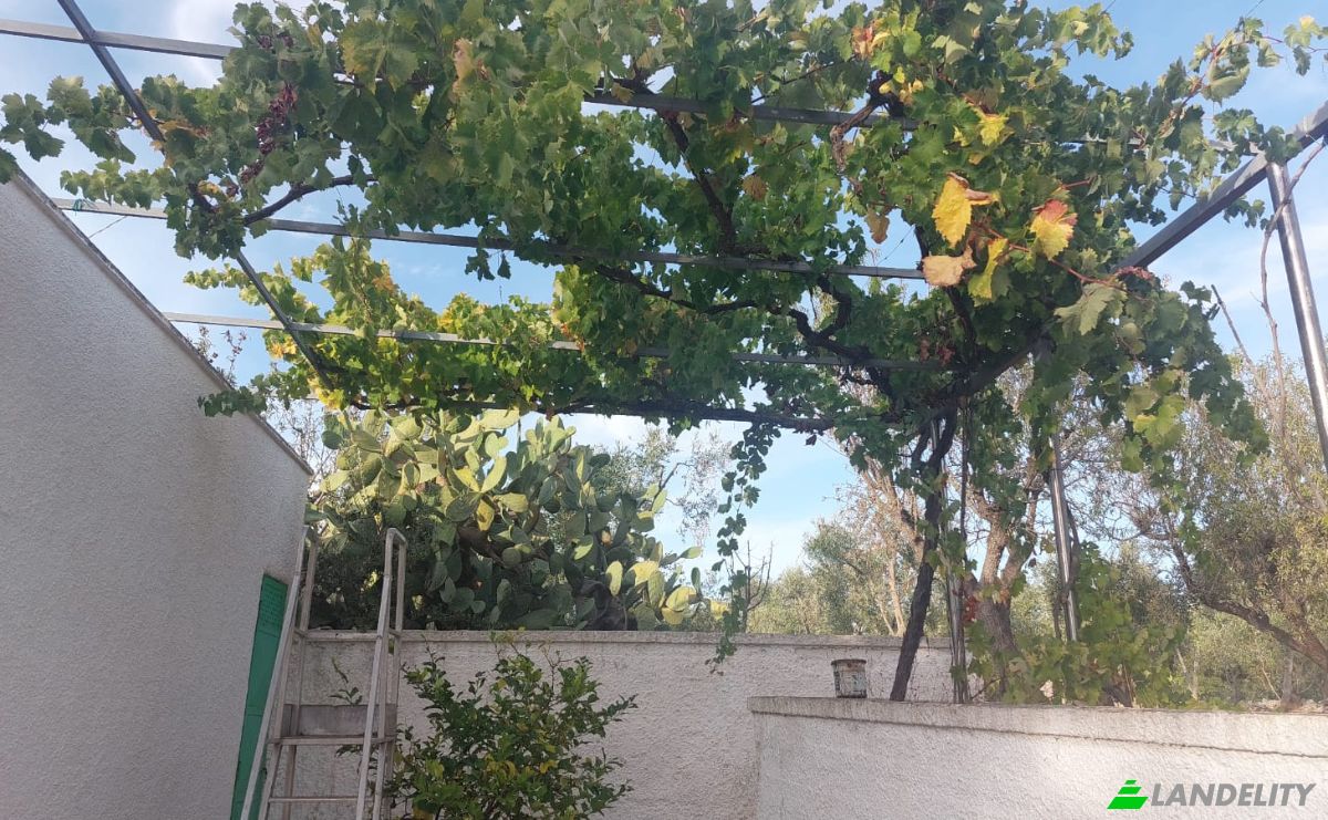 Villa for Sale 72017 Ostuni, Ostuni, Province of Brindisi, Apulia, Italy. Photo 9