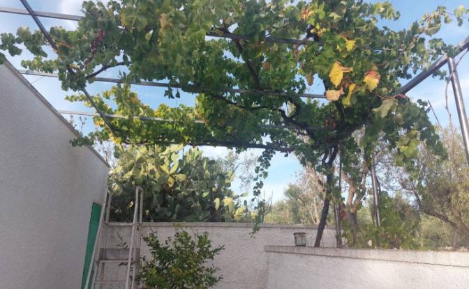 Villa for Sale 72017 Ostuni, Ostuni. Photo#9 Villa for Sale 72017 Ostuni, Ostuni. Photo#9