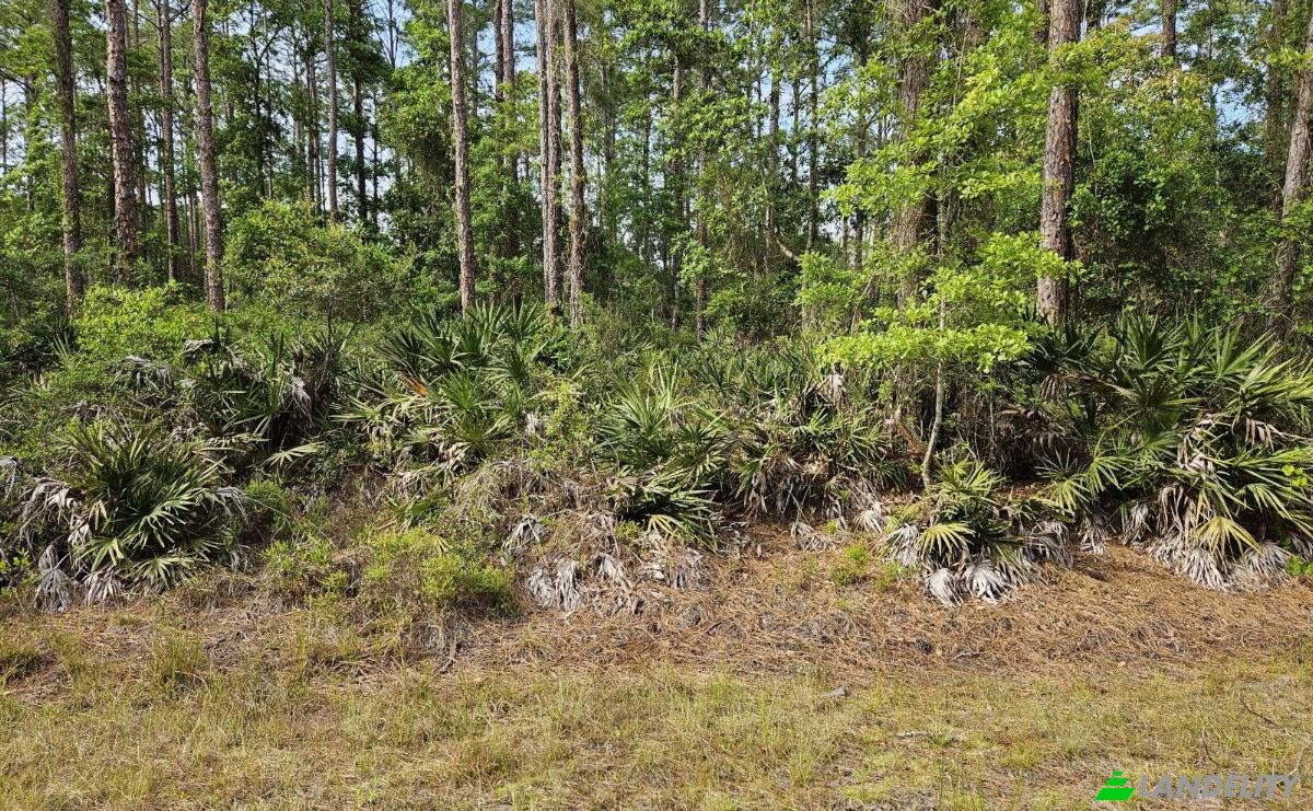 Grundstück zu verkaufen 300 Prospect Ave, Interlachen, Putnam County, Florida, United States, FL 32148, USA. Foto 1