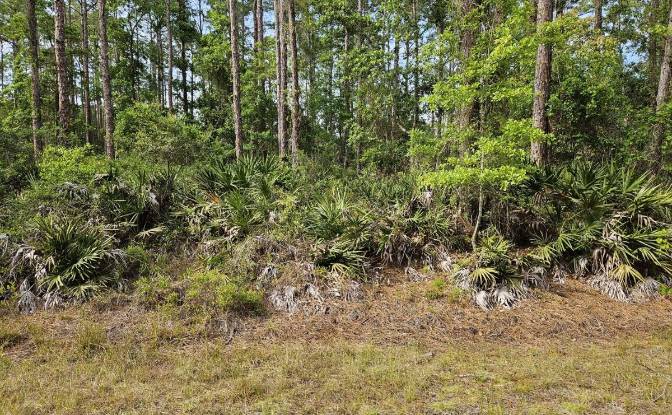 Land Lot for Sale - Interlachen, United States