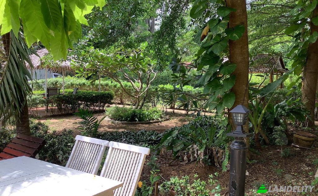 Land Lot for Sale Soi Khokmakham, Tambon Rawai, Amphoe Mueang Phuket, Chang Wat Phuket 83130, Rawai, Mueang Phuket District, Phuket, Thailand. Photo 6