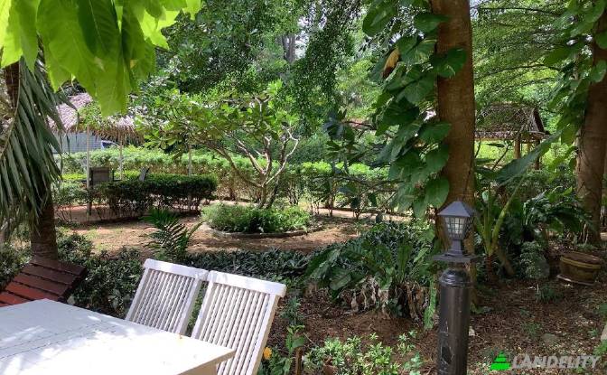 Land Lot for Sale Soi Khokmakham, Tambon Rawai. Photo#6 Land Lot for Sale Soi Khokmakham, Tambon Rawai. Photo#6