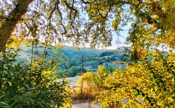 Single Family Home for Sale Via della Caina. Photo#10
