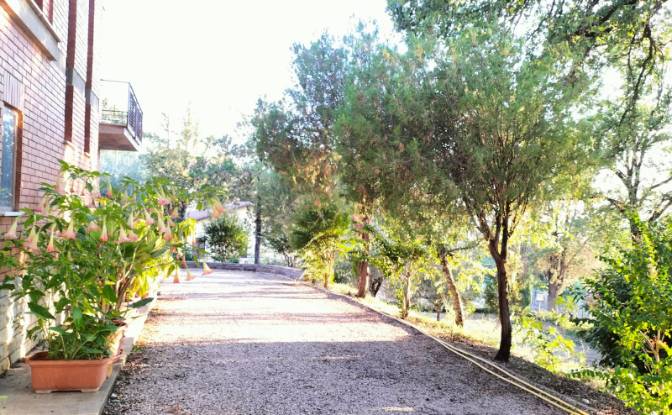 Single Family Home for Sale Via della Caina. Photo#11