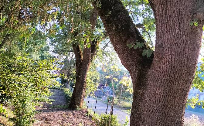 Single Family Home for Sale Via della Caina. Photo#12
