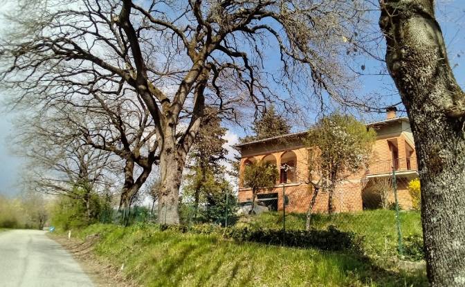Single Family Home for Sale Via della Caina. Photo#3