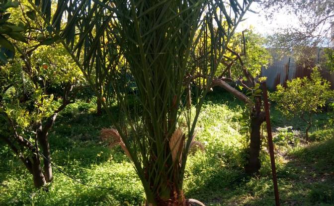 Villa for Sale Via Falcone e Borsellino. Photo#13 Villa for Sale Via Falcone e Borsellino. Photo#13