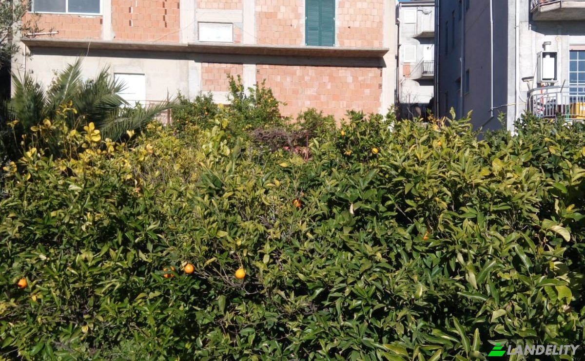 Villa for Sale Via Falcone e Borsellino, 92010 Bivona AG, Bivona, Free municipal consortium of Agrigento, Sicily, Italy. Photo 16