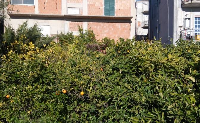 Villa for Sale Via Falcone e Borsellino. Photo#16 Villa for Sale Via Falcone e Borsellino. Photo#16