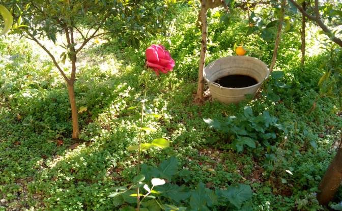 Villa for Sale Via Falcone e Borsellino. Photo#21 Villa for Sale Via Falcone e Borsellino. Photo#21