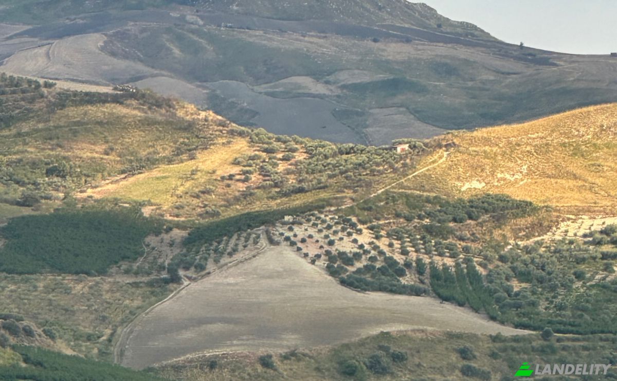 Investing/Development for Sale Strada senza nome, 92010 Bivona AG, Bivona, Free municipal consortium of Agrigento, Sicily, Italy. Photo 1