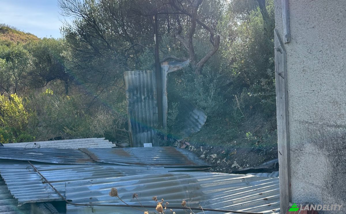 Investing/Development for Sale Strada senza nome, 92010 Bivona AG, Bivona, Free municipal consortium of Agrigento, Sicily, Italy. Photo 14