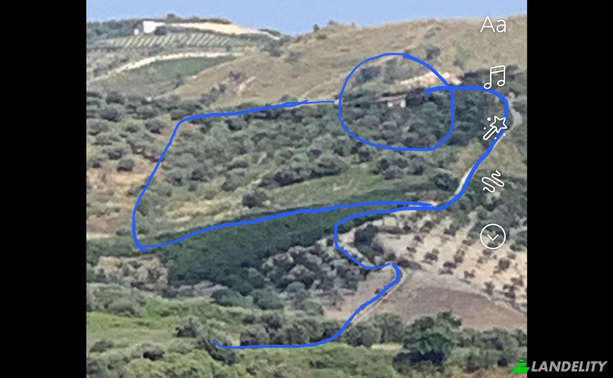 Investing/Development for Sale Strada senza nome, 92010 Bivona AG, Bivona, Free municipal consortium of Agrigento, Sicily, Italy. Photo 16