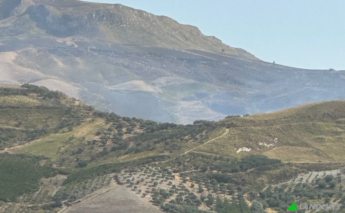 Investing/Development for Sale Strada senza nome, 92010 Bivona AG, Bivona, Free municipal consortium of Agrigento, Sicily, Italy. Photo 4