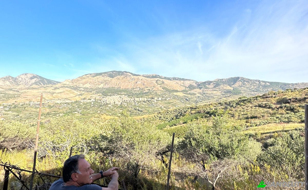 Investing/Development for Sale Strada senza nome, 92010 Bivona AG, Bivona, Free municipal consortium of Agrigento, Sicily, Italy. Photo 8