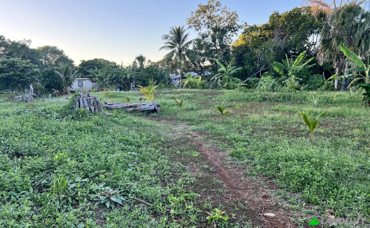 Земельна ділянка продаж Sarteneja, Corozal District, Belize. Фото 2