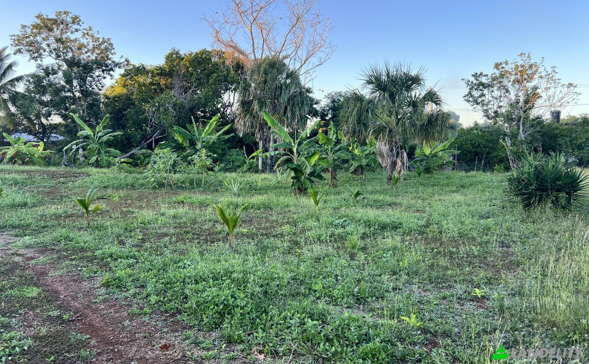 Земельна ділянка продаж Sarteneja, Corozal District, Belize. Фото 3