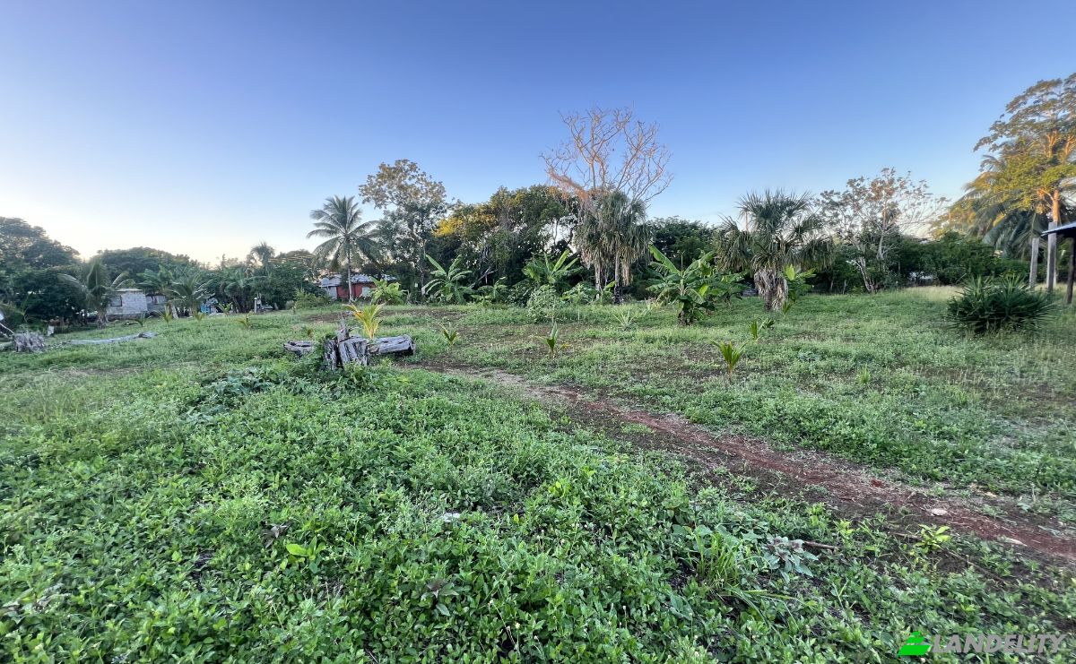 Земельна ділянка продаж Sarteneja, Corozal District, Belize. Фото 4