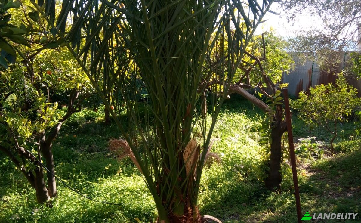 Investing/Development for Sale Via Cerasella, 92010 Bivona AG, Bivona, Free municipal consortium of Agrigento, Sicily, Italy. Photo 2