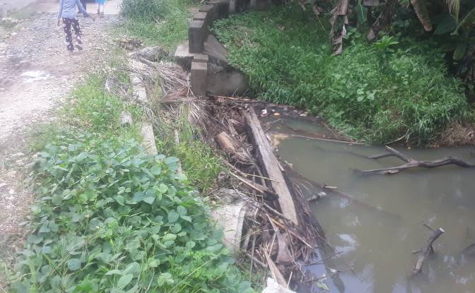 Land Lot for Sale Bitaugan East, Cagwait. Photo#2