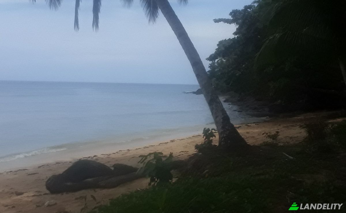 Land Lot for Sale Bitaugan East, Cagwait, Surigao del Sur, Caraga, Philippines. Photo 1