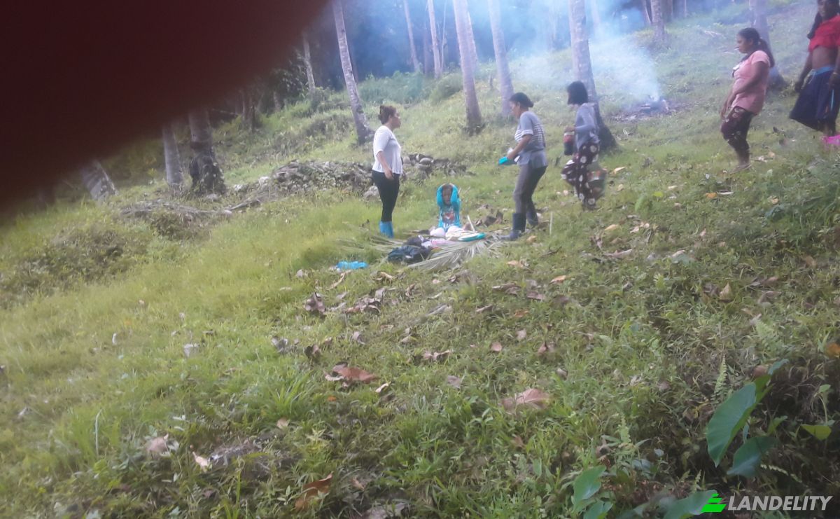 Land Lot for Sale Bitaugan East, Cagwait, Surigao del Sur, Caraga, Philippines. Photo 5
