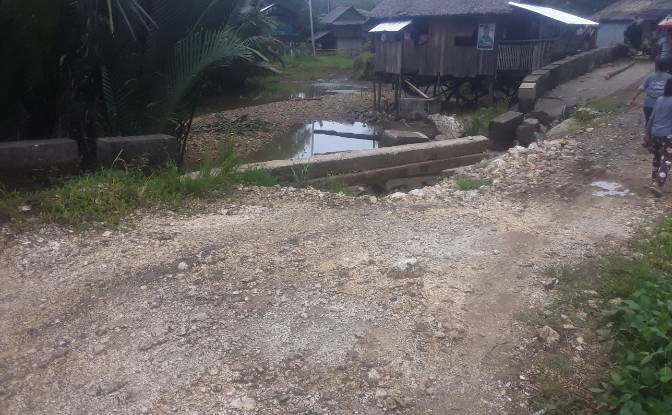 Land Lot for Sale Bitaugan East, Cagwait. Photo#8
