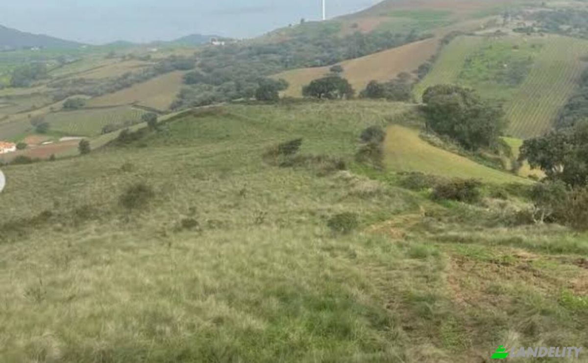 Farm/Ranch for Sale 2665-001, Azueira e Sobral da Abelheira, Mafra, Lisbon, Portugal. Photo 2