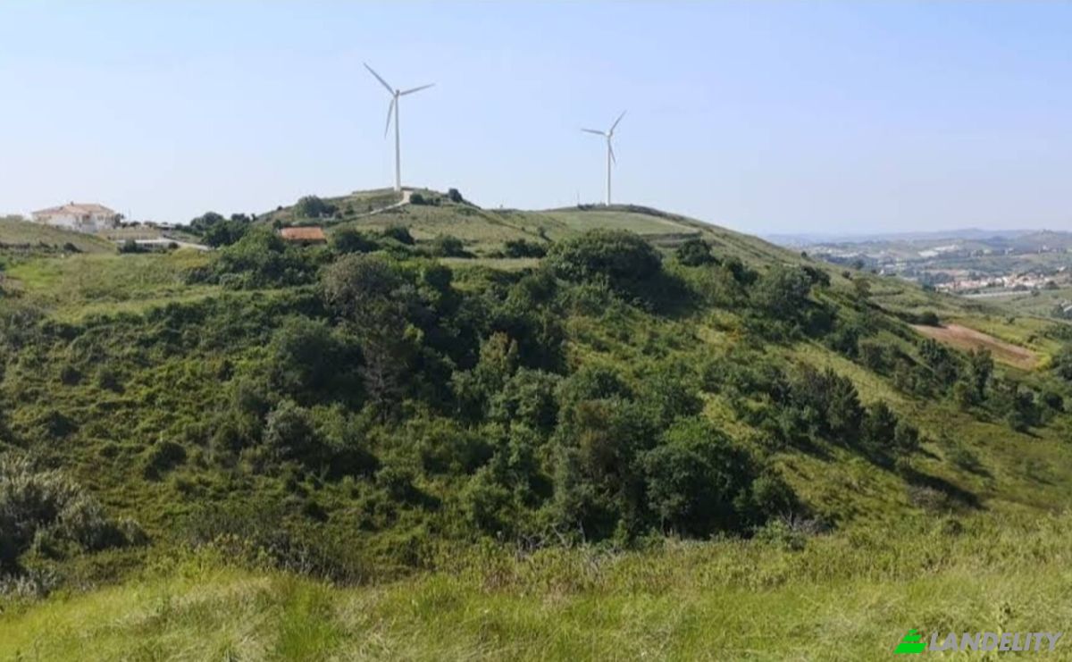 Farm/Ranch for Sale 2665-001, Azueira e Sobral da Abelheira, Mafra, Lisbon, Portugal. Photo 3