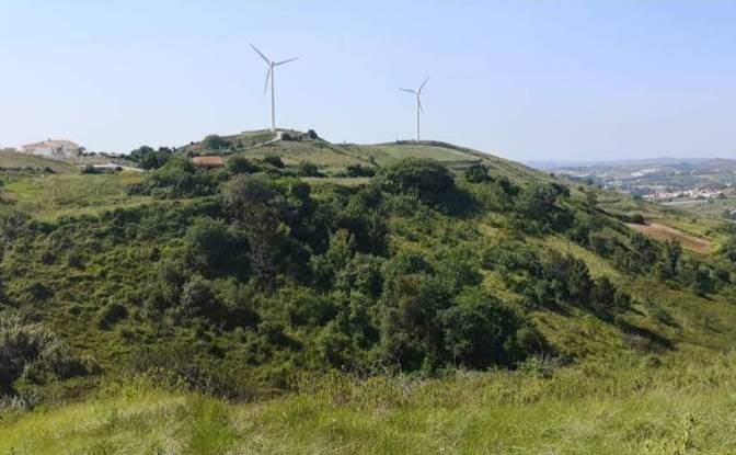 Farm/Ranch for Sale 2665-001. Photo#3